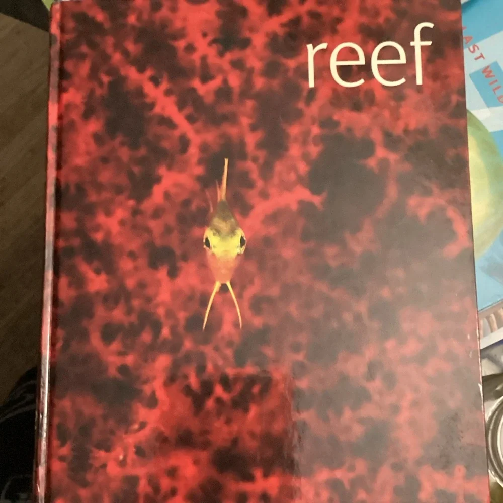 Reef 🪸 - Picture 1 of 7